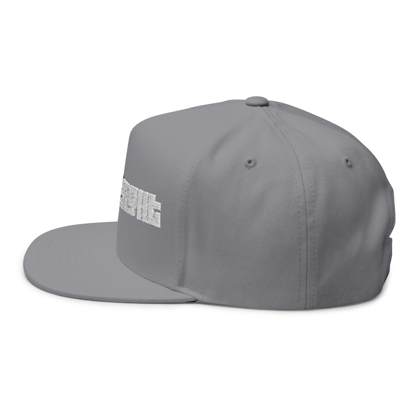 CanesInSight Flat Bill Cap