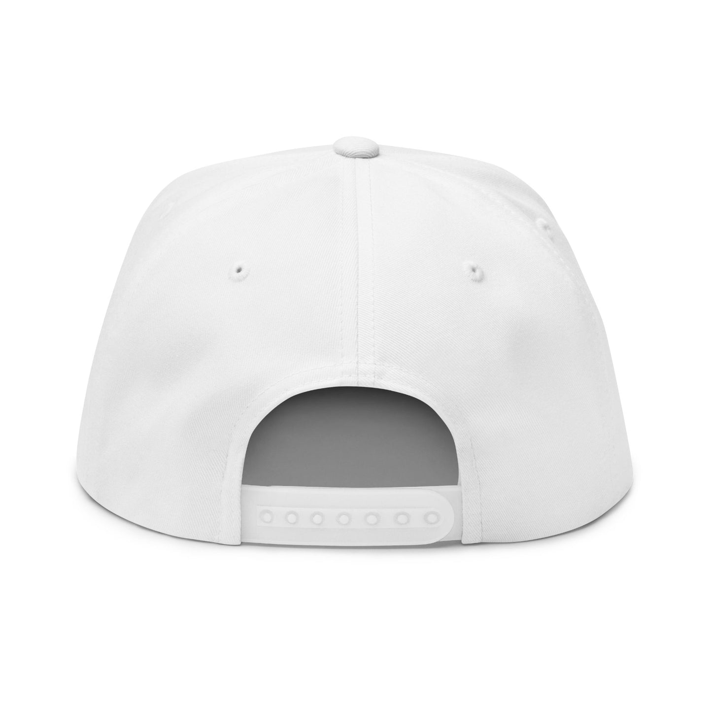 CanesInSight Flat Bill Cap