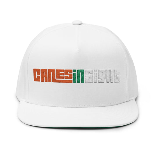 CanesInSight Flat Bill Cap