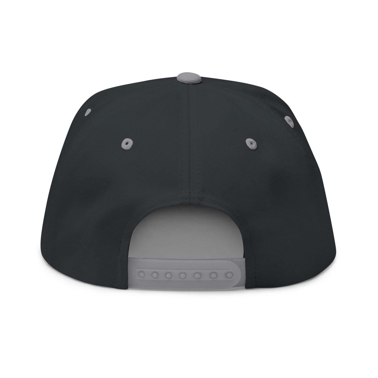 CanesInSight Flat Bill Cap