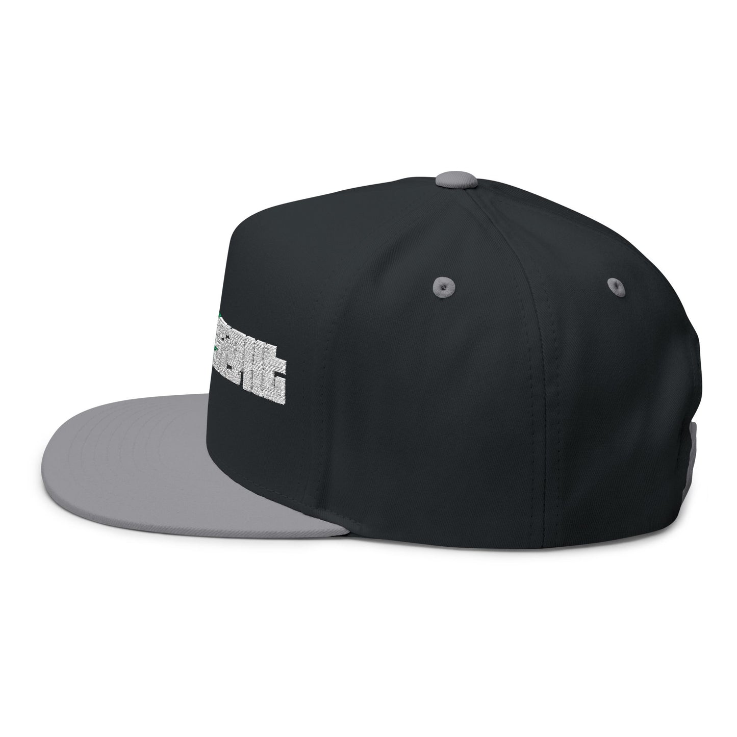 CanesInSight Flat Bill Cap