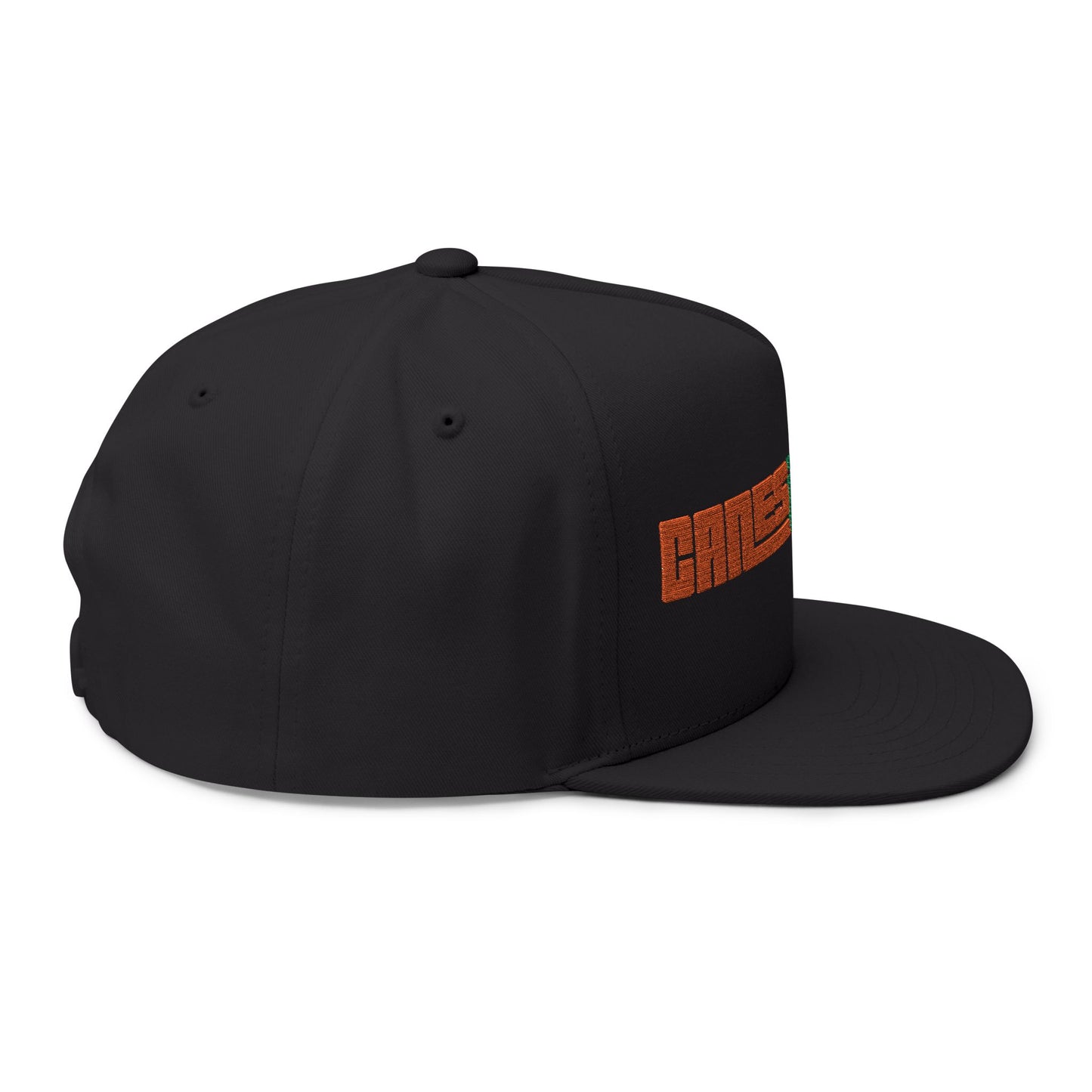 CanesInSight Flat Bill Cap