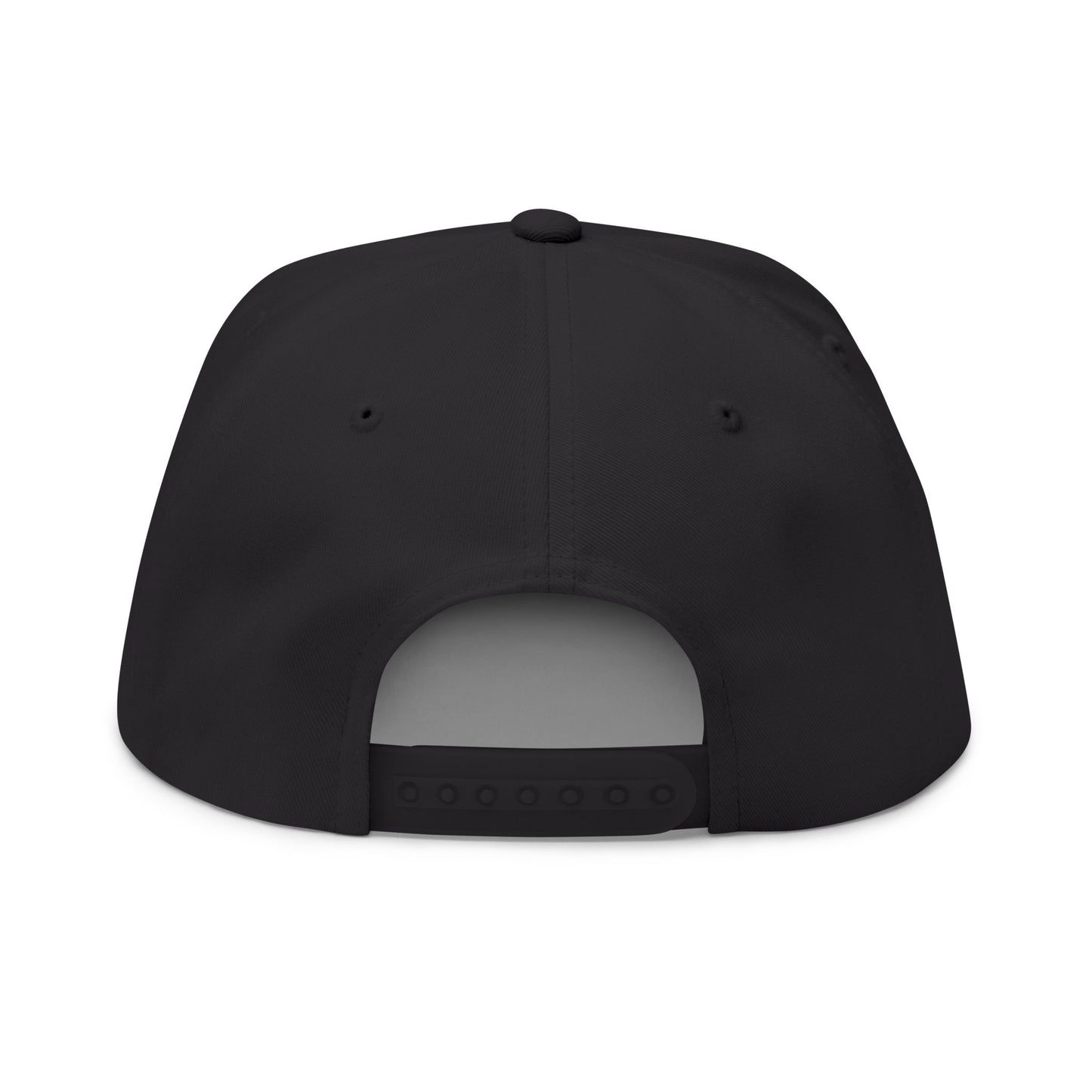 CanesInSight Flat Bill Cap