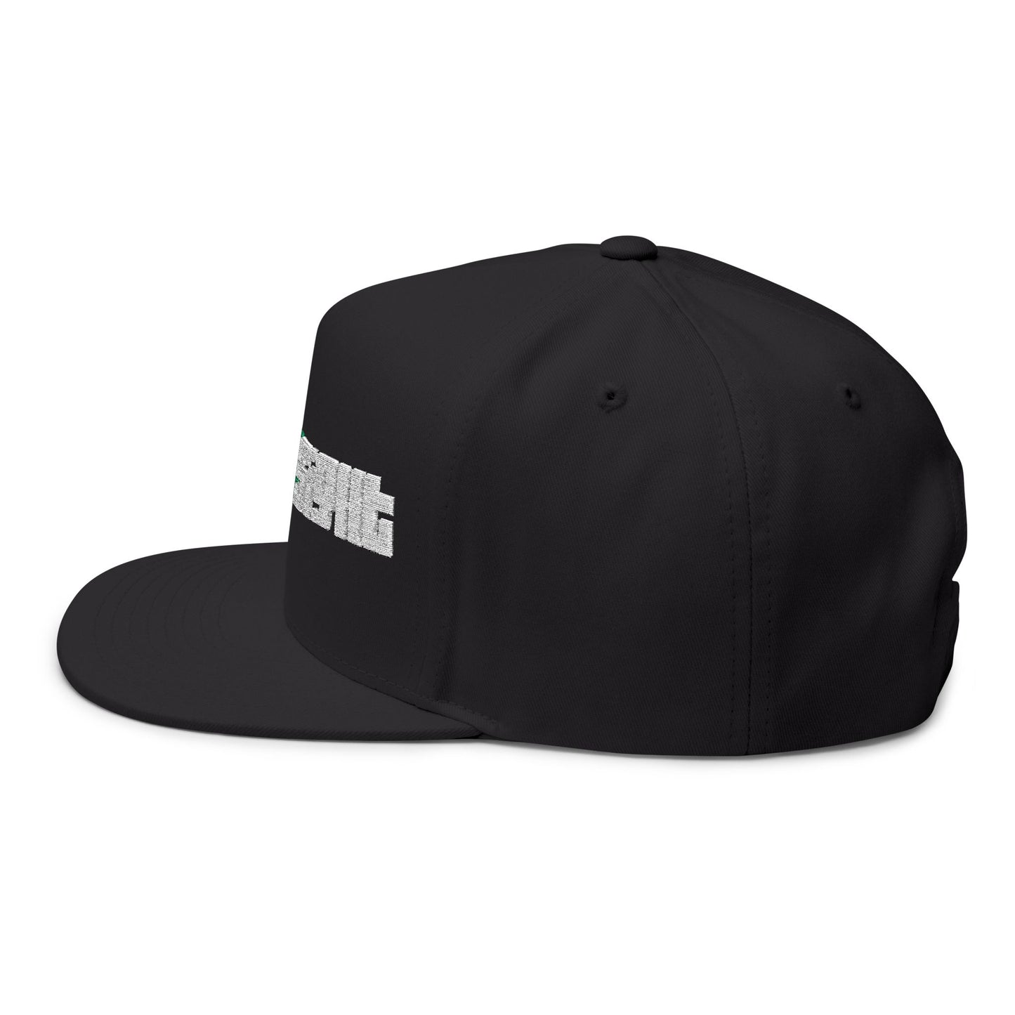 CanesInSight Flat Bill Cap