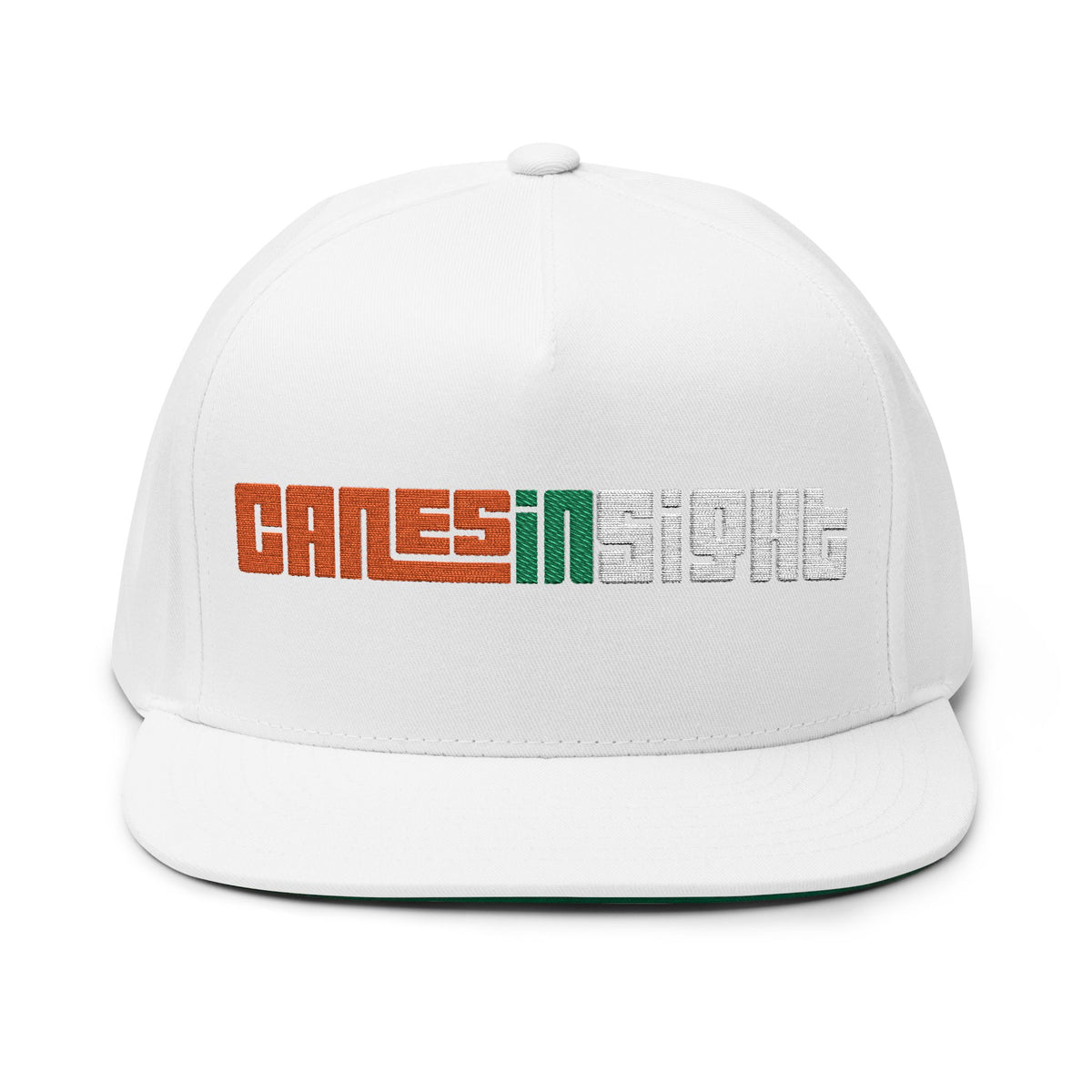 CanesInSight Flat Bill Cap