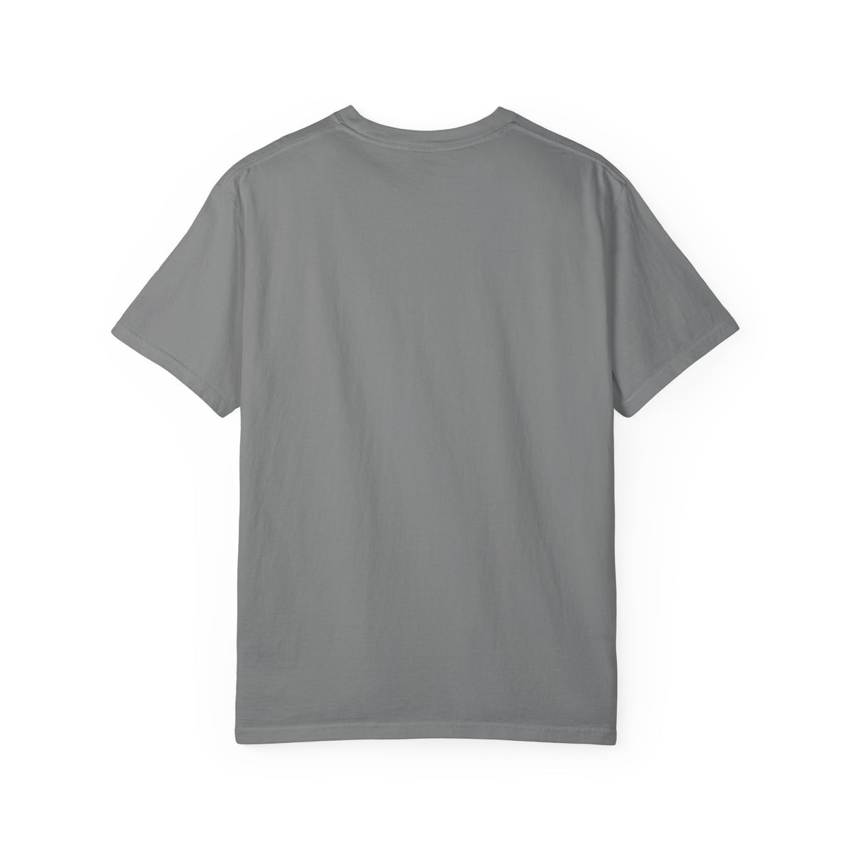 CanesInSight Garment Dyed Tee