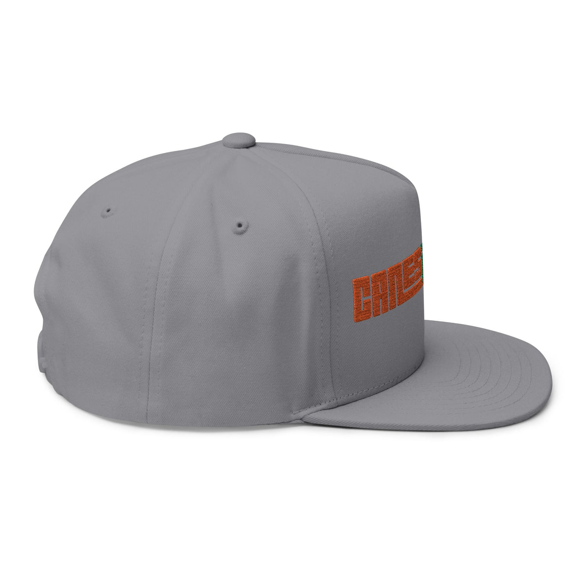 CanesInSight Flat Bill Cap