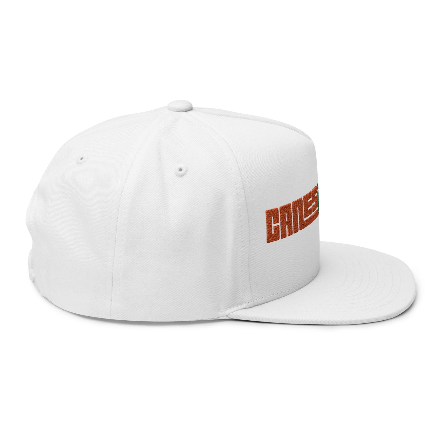 CanesInSight Flat Bill Cap