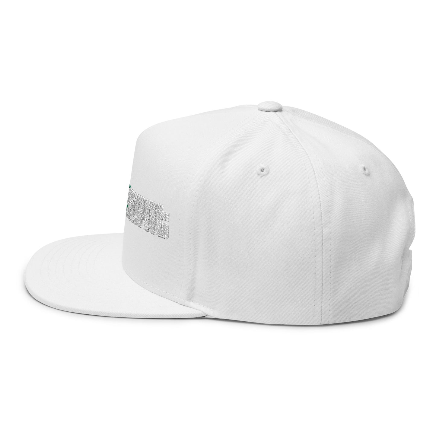CanesInSight Flat Bill Cap