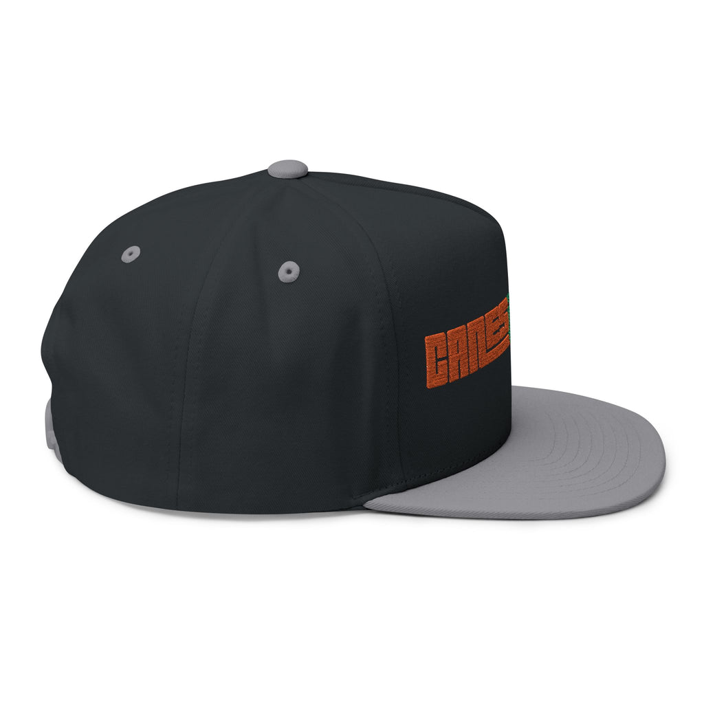 CanesInSight Flat Bill Cap