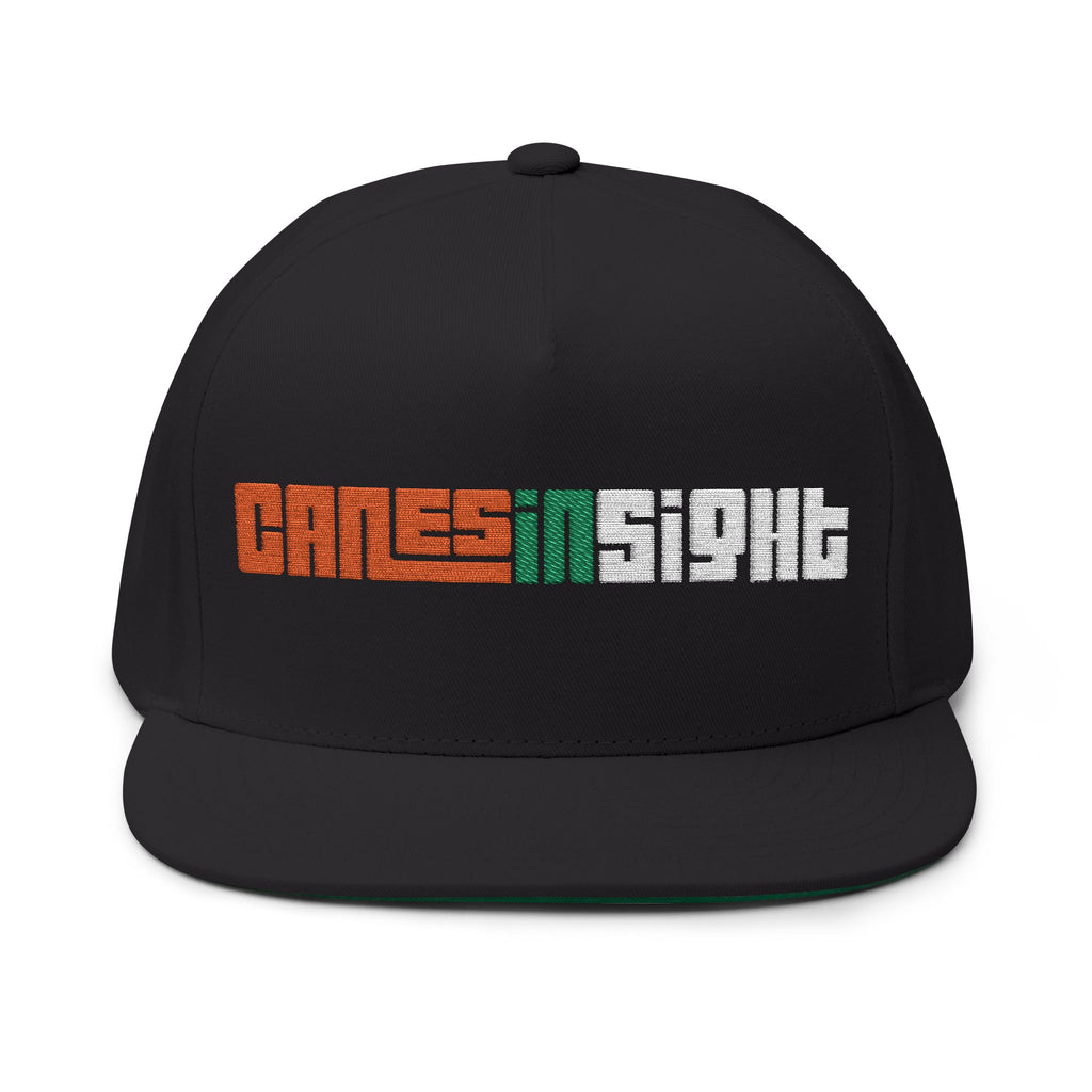 CanesInSight Flat Bill Cap