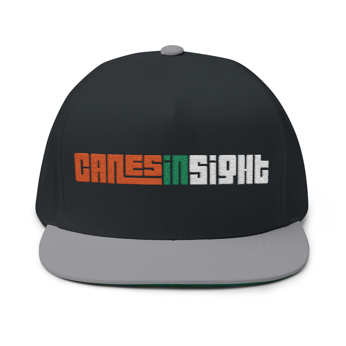 CanesInSight Flat Bill Cap