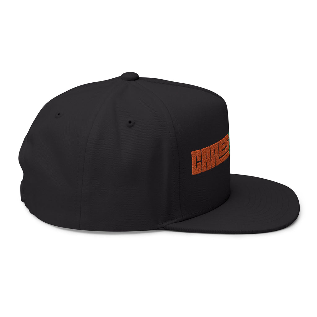 CanesInSight Flat Bill Cap