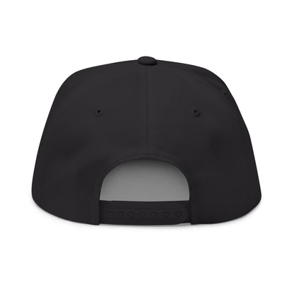 CanesInSight Flat Bill Cap