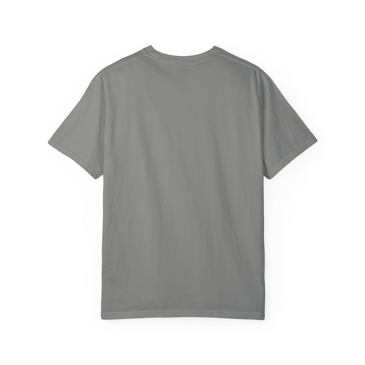 CanesInSight Garment Dyed Tee
