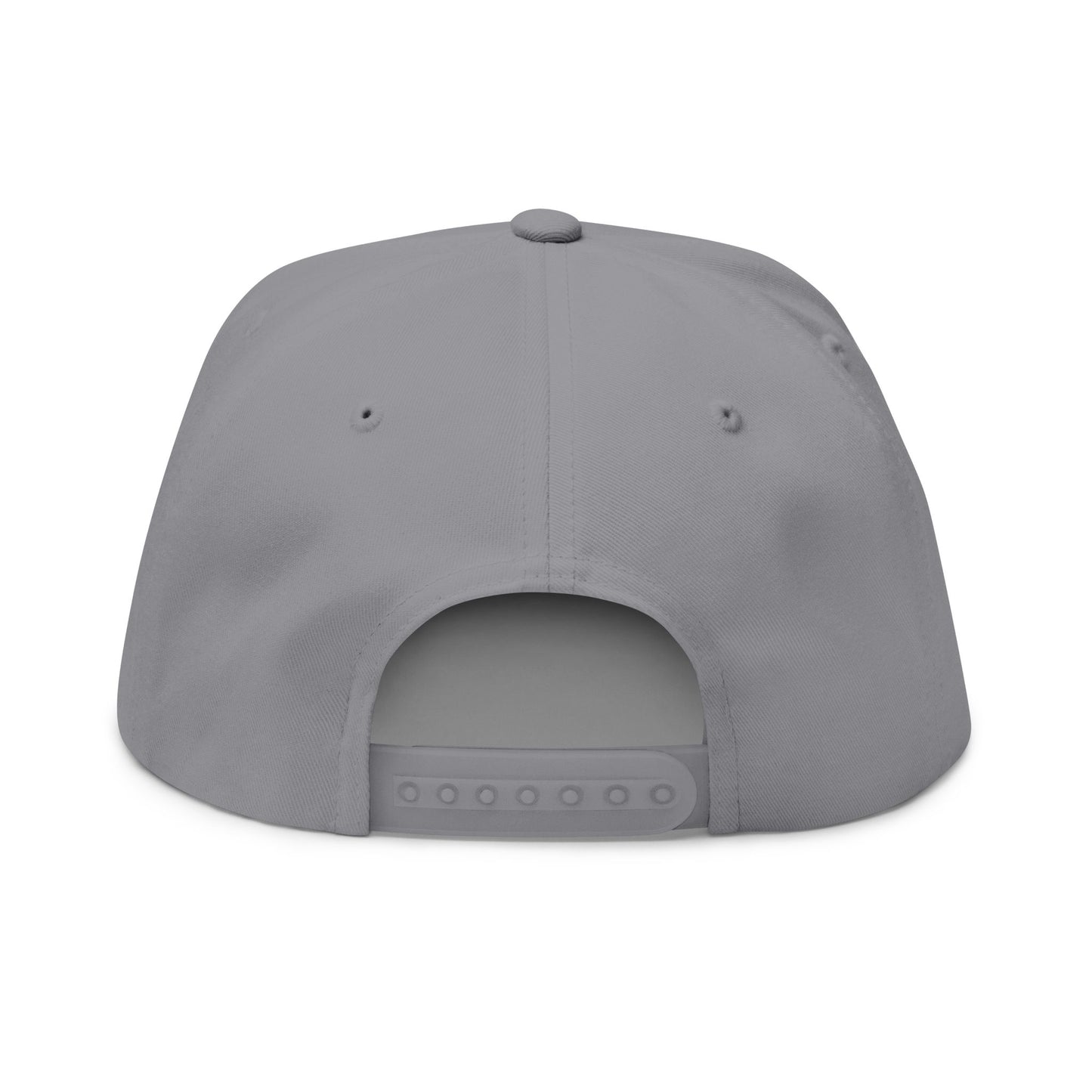 CanesInSight Flat Bill Cap